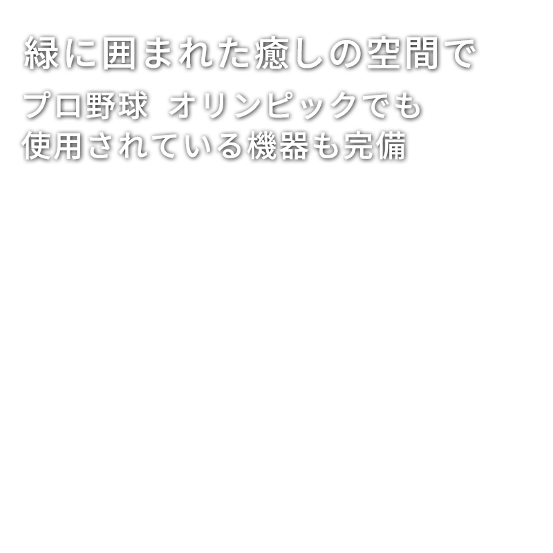 緑に囲まれた癒しの空間