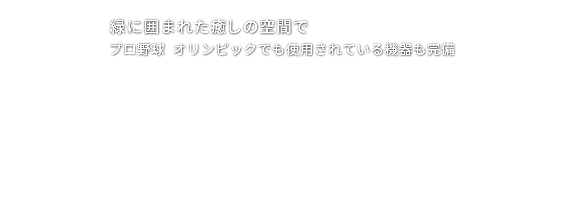 緑に囲まれた癒しの空間